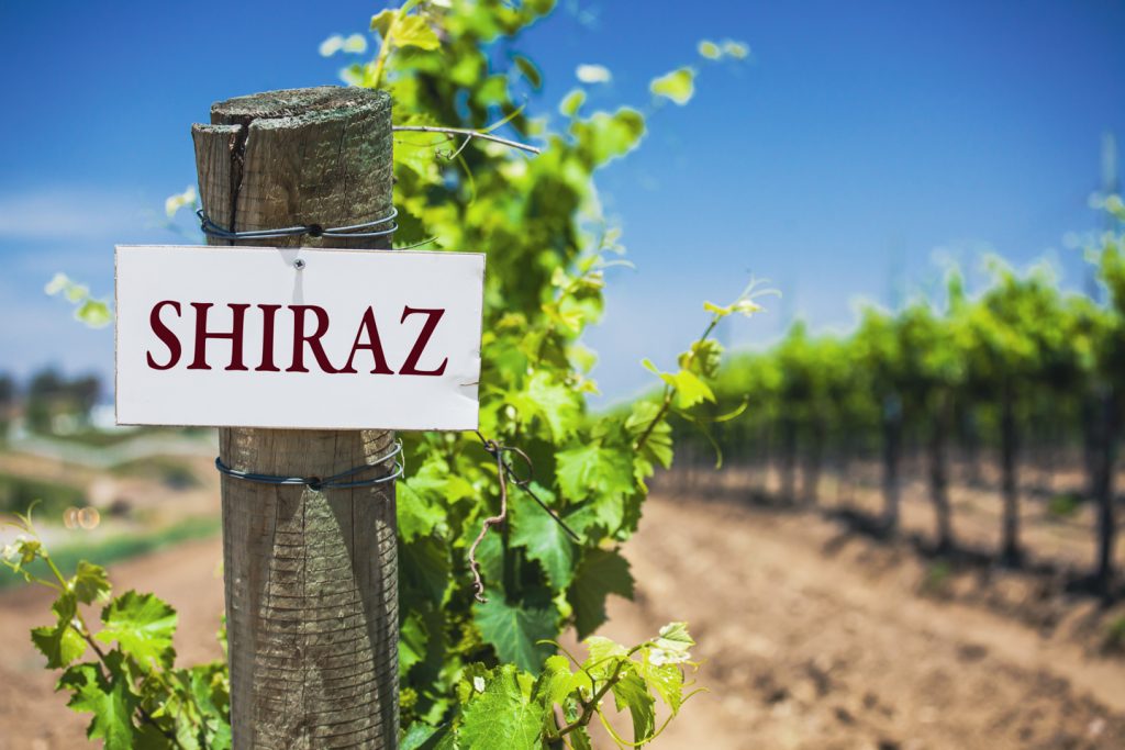 shriaz sign on vineyard
