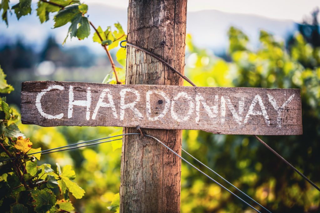 chardonnay sign at vineyard