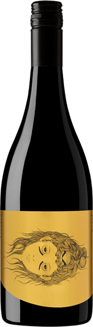 Hentley Farm Villain and Vixen Shiraz 2020